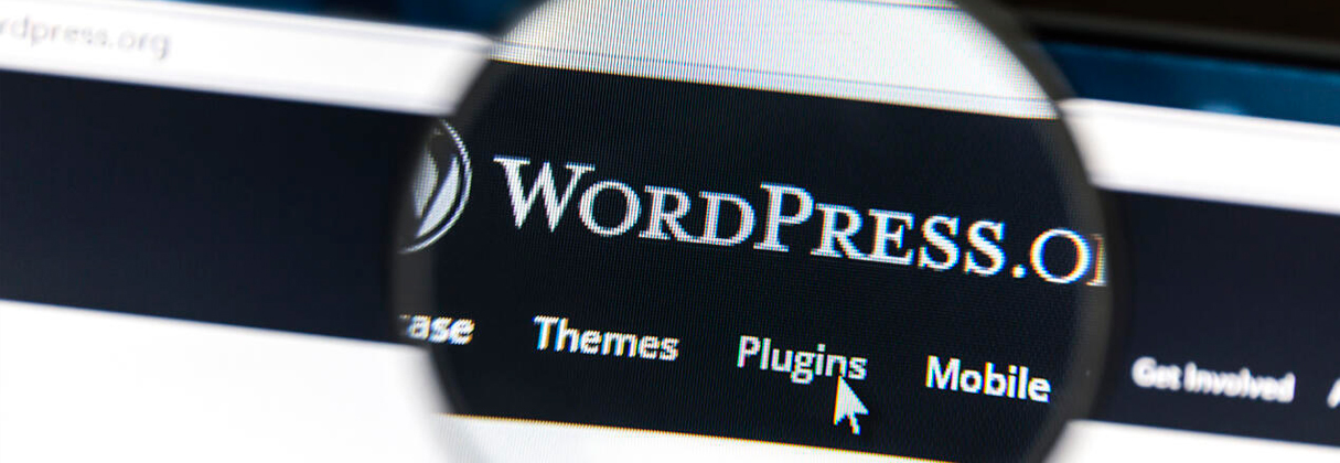 Hosting Administrado de WordPress