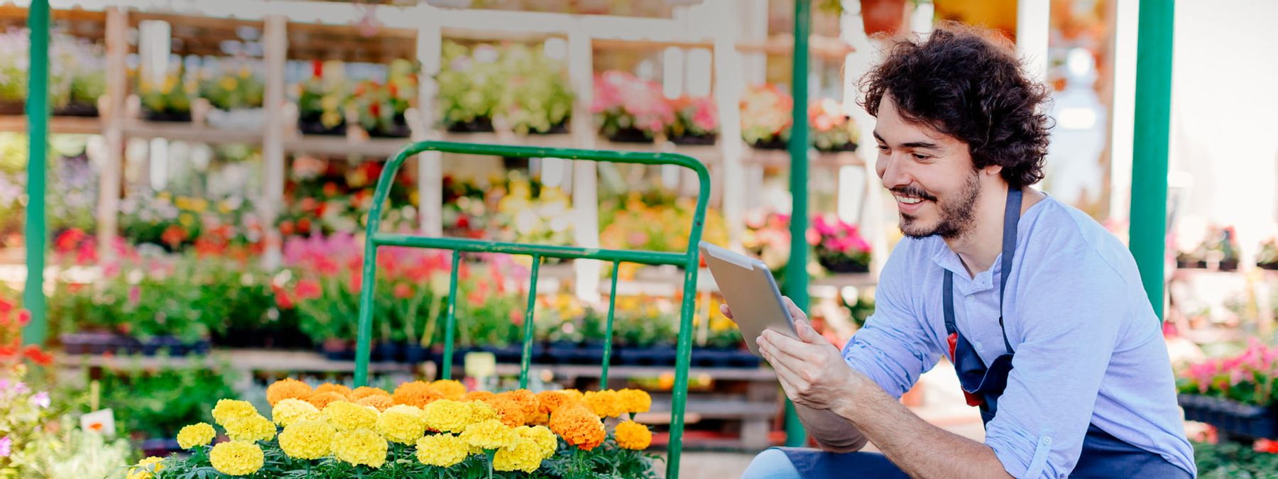 Florista consultando en su tablet qué dominio .tienda va a registrar