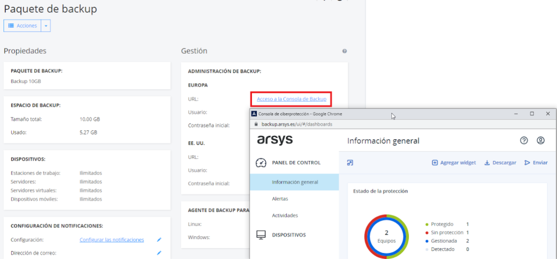 acceso a la consola debackup
