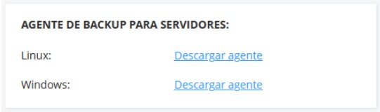 agente de backup para servidores